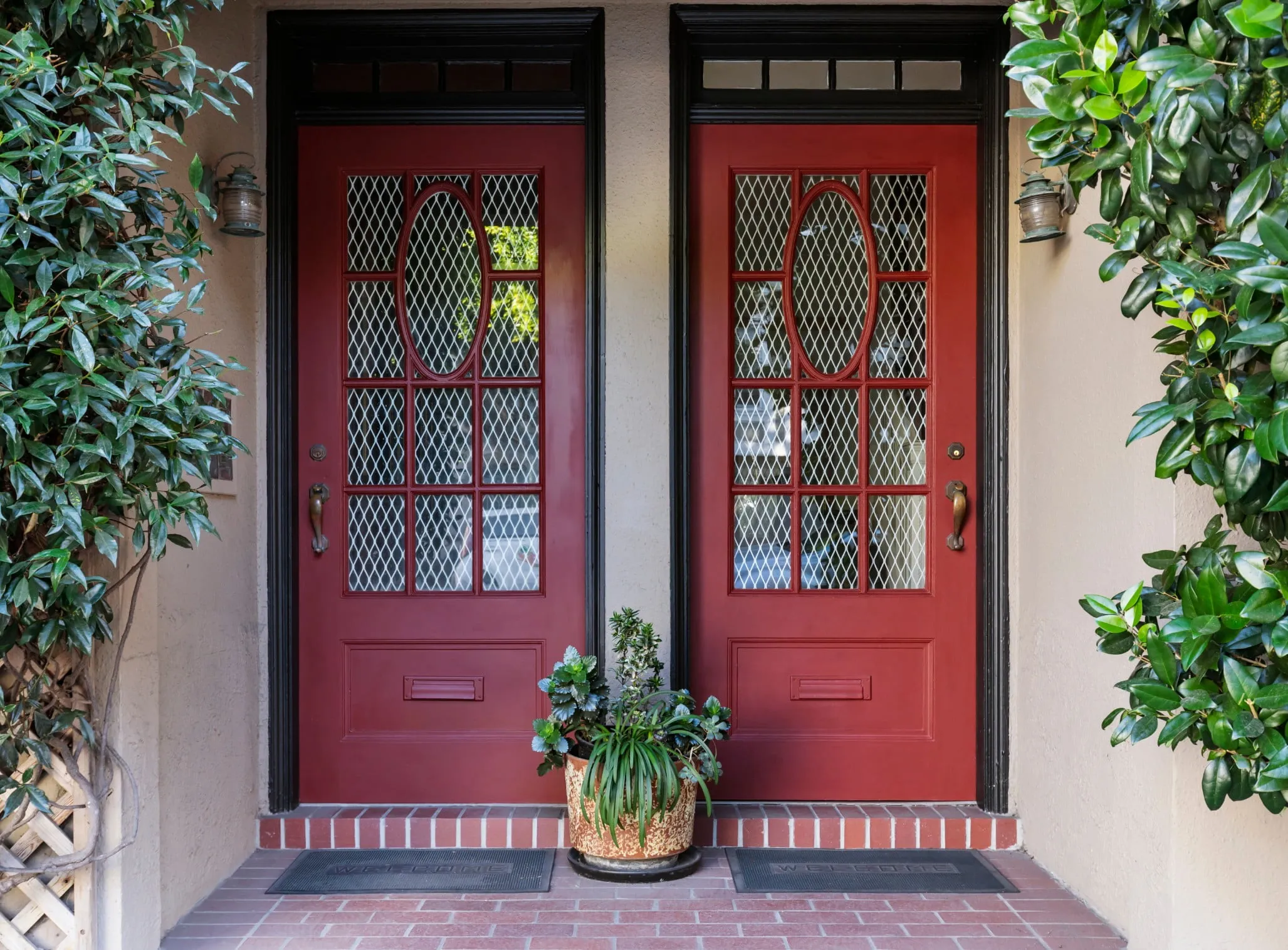 A picture of two does side by side