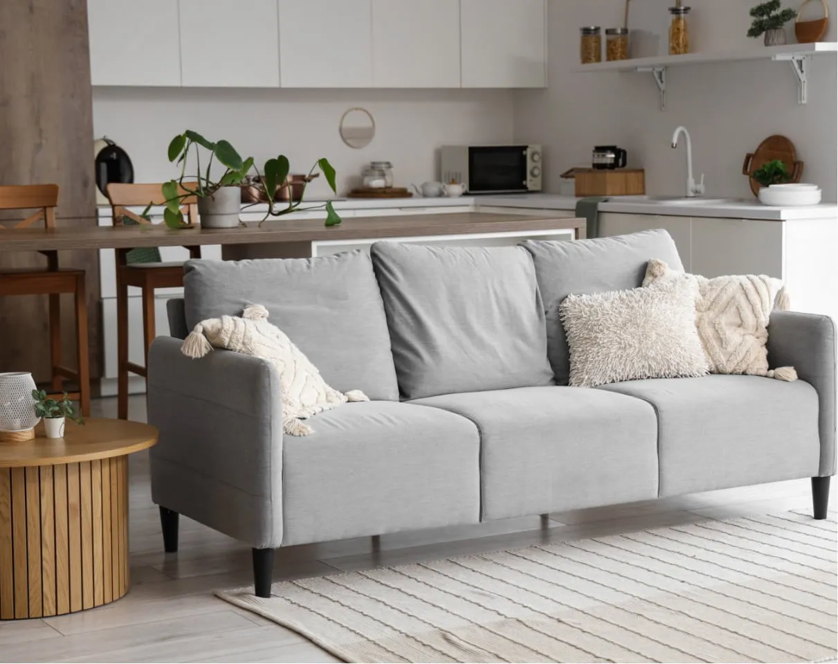 a picture of a living room and a kitchen in the background